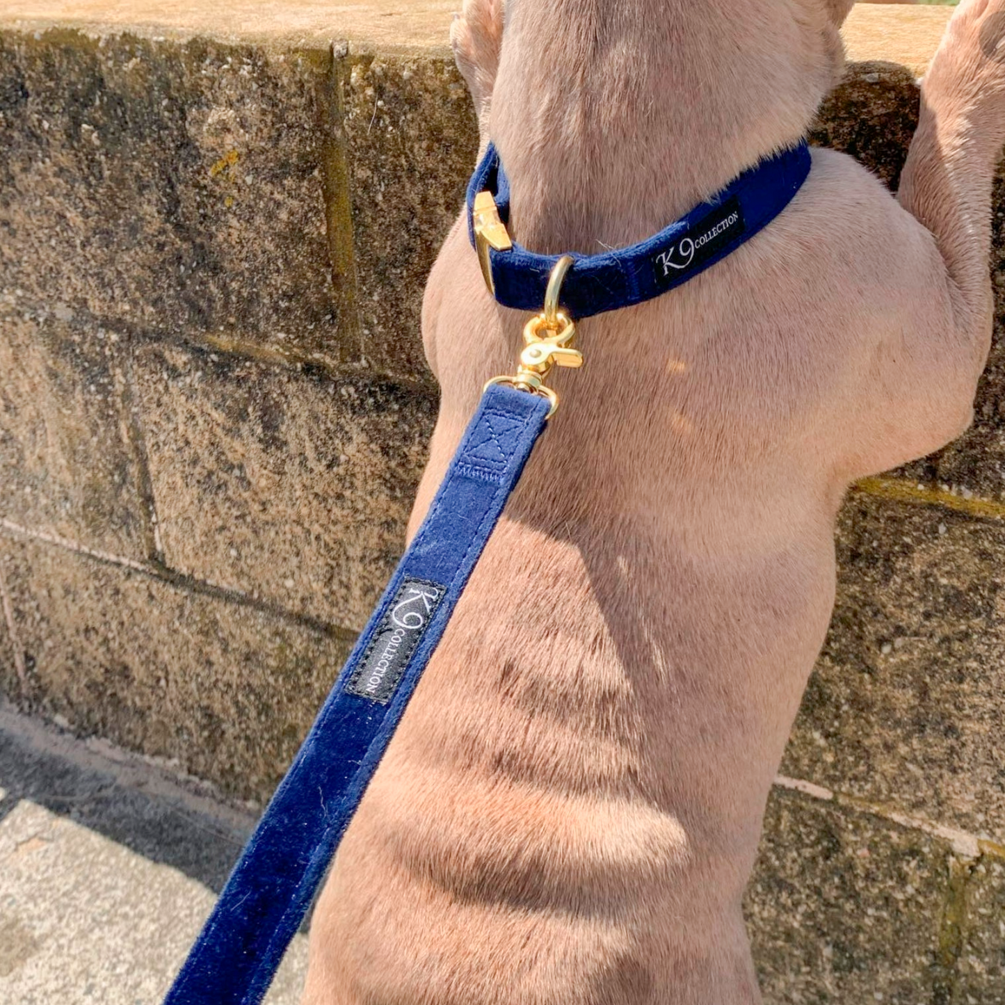 LUXE Velvet Collar - Navy Blue